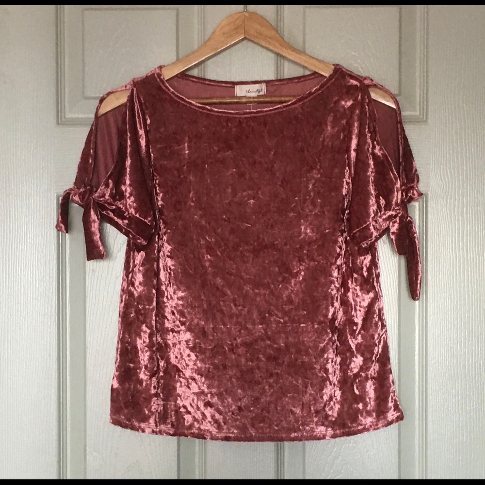 Theoutfit Velvet Tops